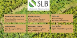 SLB-Gruppe - Newsletter 2022