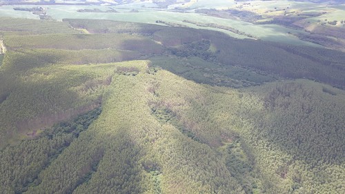 BOA VISTA Farm