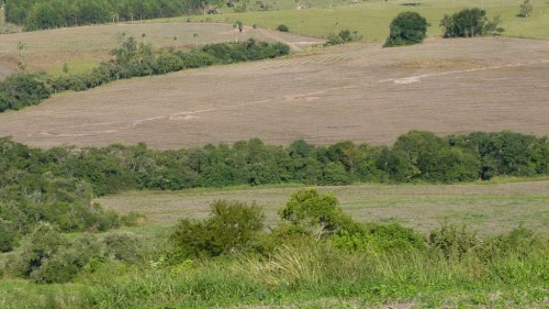 Fazenda Mangueira Preta