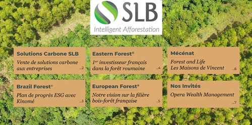 SLB-Gruppe - Newsletter 2022