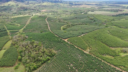 Fazenda Santo Antônio