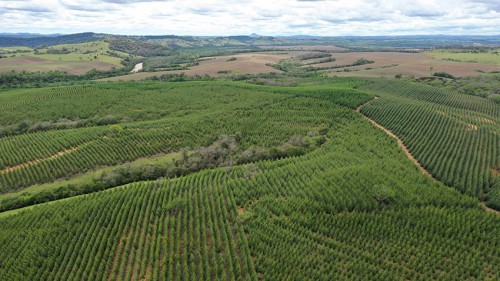 Fazenda SÃO JOSÉ