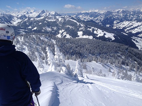 Planter des arbres pour skier demain